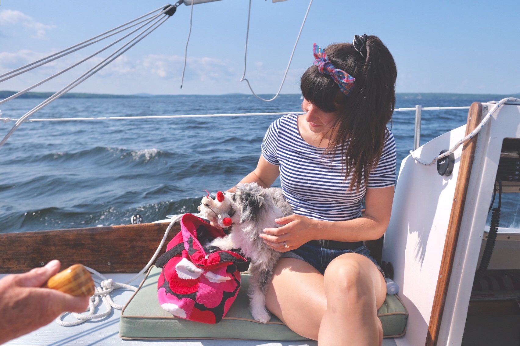 woman on a sailboat wearing headband AussieDoodle puppy rummaging through toy bag.